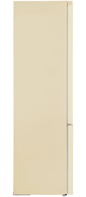 MAUNFELD MFF195NFBG10.1