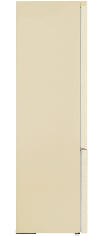 MAUNFELD MFF195NFBG10.1